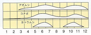 発生消長