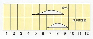 発生消長