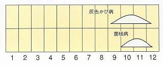 発生消長