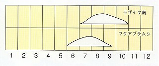 発生消長