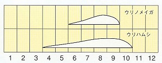 発生消長