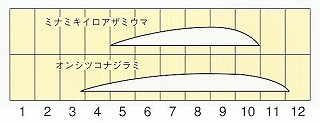 発生消長