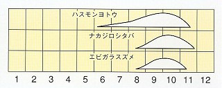 発生消長
