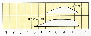 発生消長