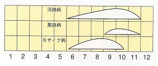 発生消長
