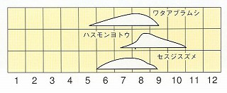発生消長