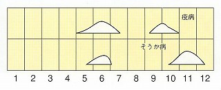 発生消長