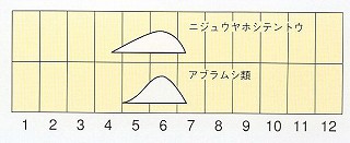 発生消長