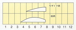 発生消長