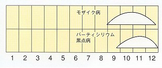 発生消長