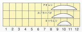発生消長