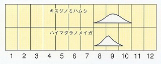 発生消長