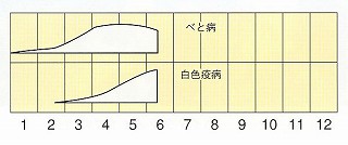 発生消長
