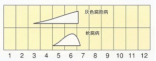 発生消長