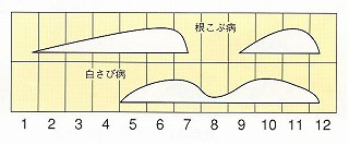 発生消長