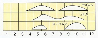 発生消長