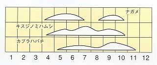 発生消長