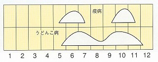 発生消長