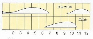 発生消長