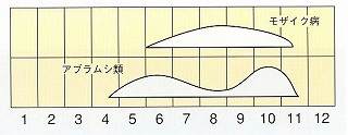 発生消長