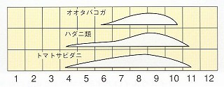 発生消長