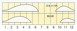 発生消長