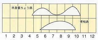 発生消長