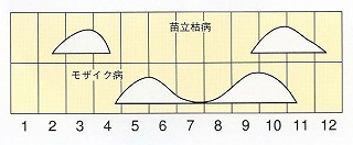 発生消長