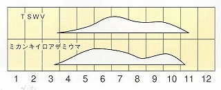 発生消長