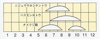 発生消長