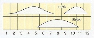 発生消長