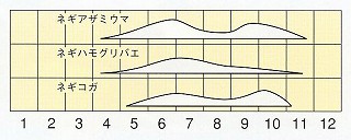 発生消長