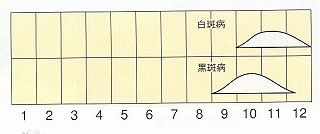 発生消長