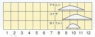 発生消長