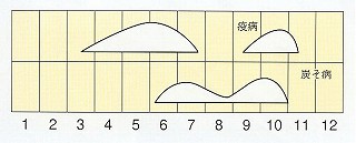 発生消長