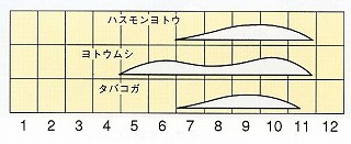 発生消長