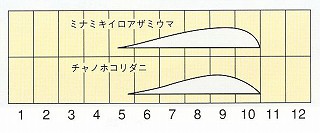 発生消長