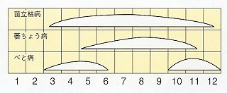 発生消長