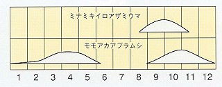 発生消長