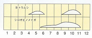 発生消長