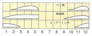 発生消長