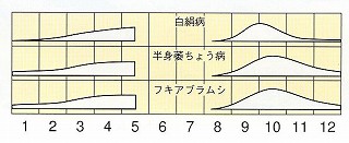 発生消長