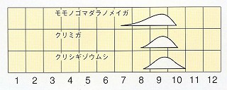 発生消長