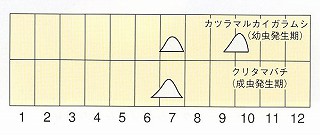 発生消長