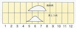 発生消長
