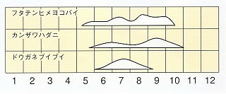 発生消長