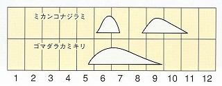 発生消長
