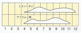 発生消長