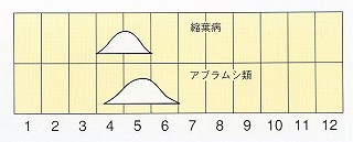 発生消長