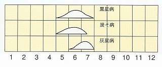 発生消長